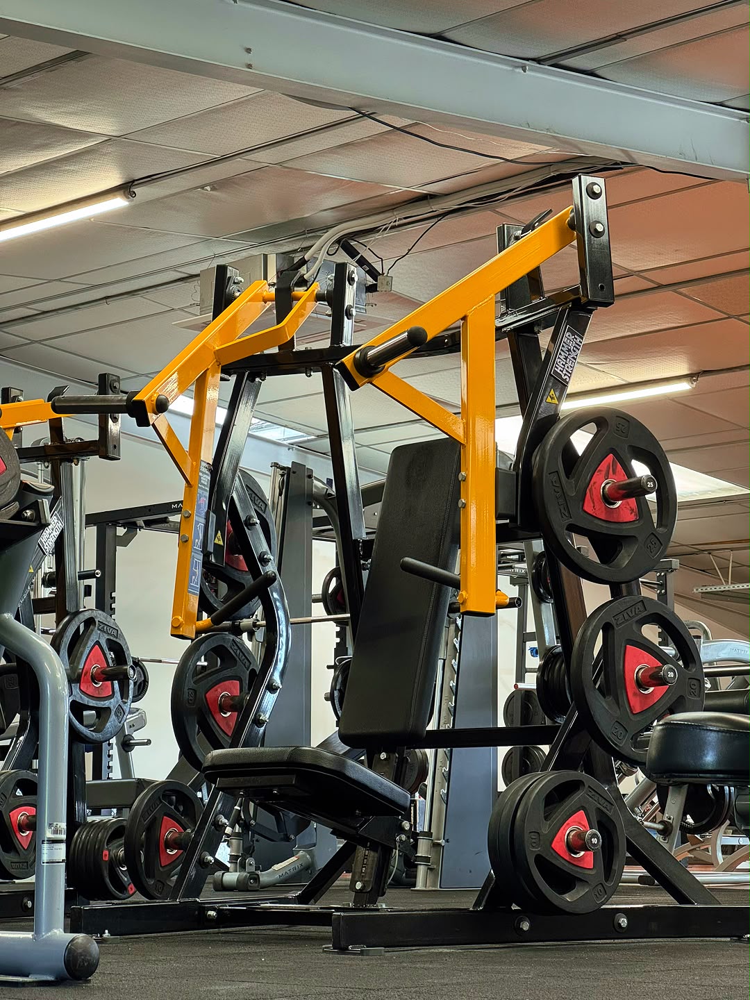 Machine de musculation Hammer Strength jaune et noire avec poids Ziva dans une salle de sport moderne.